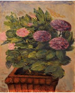 Giovanni Malesci, Hortensia, Oil on canvas, 50x62 cm, 1967