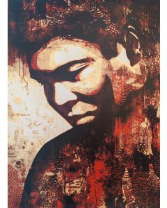 Obey (Shepard Fairey), Ali Canvas Print, serigrafia, 61x46 cm, 2010