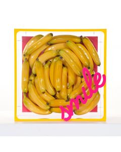 Erika Calesini, Banana box Smile, Cubo in plexiglas con tela e banane, scritta gommata, 45x45 cm, 2020 