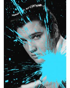 Julian T, Elvis Presley, digital print on PVC, 80x60 cm, 2015