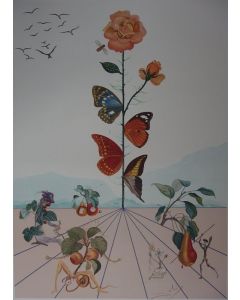 Salvador Dalì, Flordalì II, litografia a colori, 103x72,2 cm, 1981