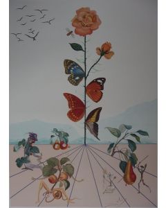 Salvador Dalì, Flordalì II, Color Lithograph, 103x72,2 cm, 1981