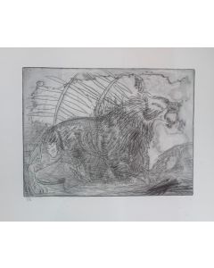 Antonio Ligabue, Lion, drypoint, 33.7x25 cm (sheet 70x50 cm)