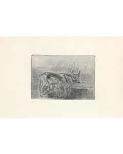 Antonio Ligabue, Cow and calf, drypoint, 31.5x21.4 cm (sheet 70x50 cm)