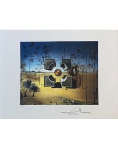 Salvador Dalì, Le Cube, Litografia, 50x65 cm, 1988
