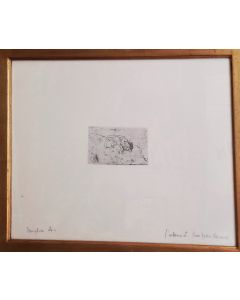 Giovanni Fattori, Crouching Dog, etching, 7.5x14 cm (42x56.5 with frame)