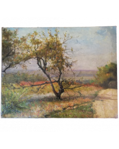 Felix Justin Gardon, Albero in collina, olio su tela, 45x55 cm