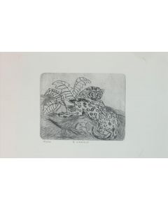 Antonio Ligabue, Leopardo, puntasecca, 28,6x22,6 cm (foglio 70x50 cm)