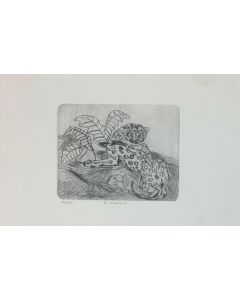 Antonio Ligabue, Leopard, drypoint, 28,6x22,6 cm (sheet 70x50 cm)