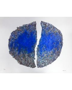 Renzo Nucara, silk-screen on neutral PVC, 90x70cm, based on "Love the nature" edition