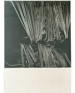 Emilio Scanavino, Five Compositions, silkscreen, 50x70 cm