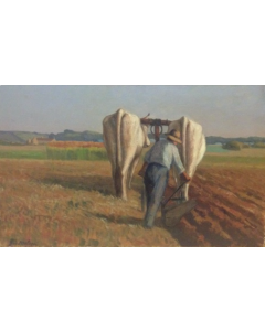 Giovanni Malesci, Buoi, olio su tela, 46x75 cm