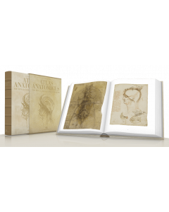 Leonardo da Vinci. Atlas Anatomicus. The Royal Collection of Windsor