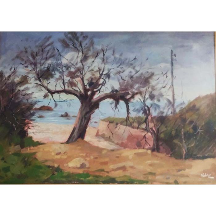 Tamerici', olio su tela di Angiolo Volpe, 50x70 cm