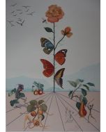 Salvador Dalì, Flordalì II, litografia a colori, 103x72,2 cm, 1981