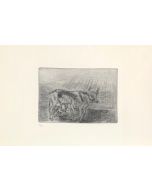 Antonio Ligabue, Cow and calf, drypoint, 31.5x21.4 cm (sheet 70x50 cm)