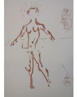 Salvador Dalì, Venere, stampa a due colori, 27x21 cm