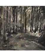 Tiziana Vanetti, Wild 3, acrilico su tela, 50x50 cm